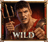 Wild Symbol
